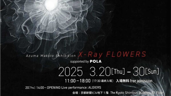 0d068226d66517fb3014fd44482d80e5-scaled 2